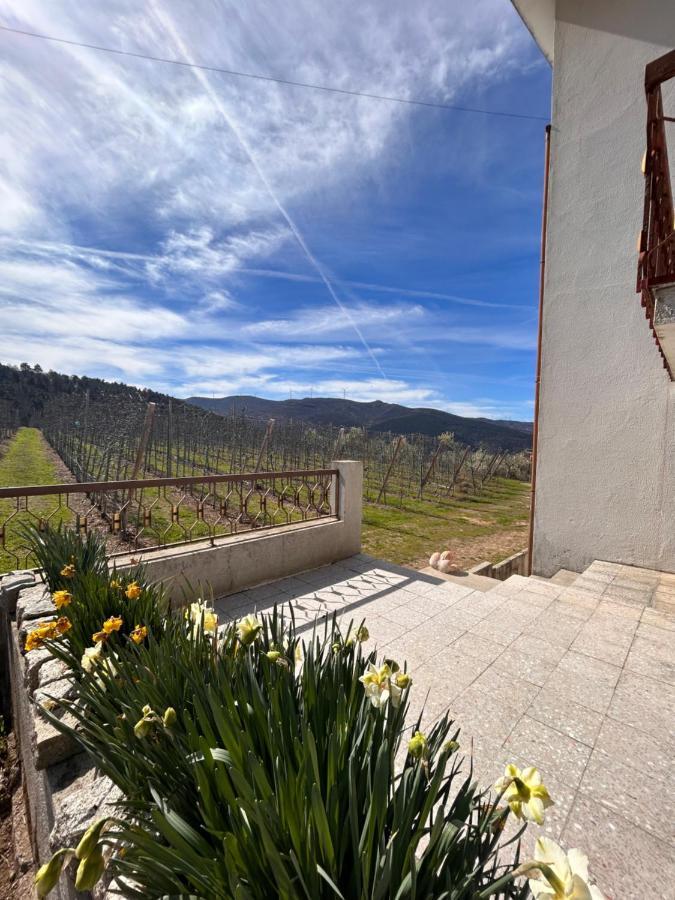 Casa Vicente Villa Lamego Exteriör bild