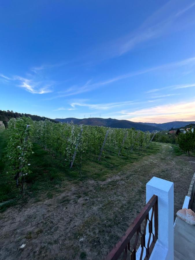 Casa Vicente Villa Lamego Exteriör bild