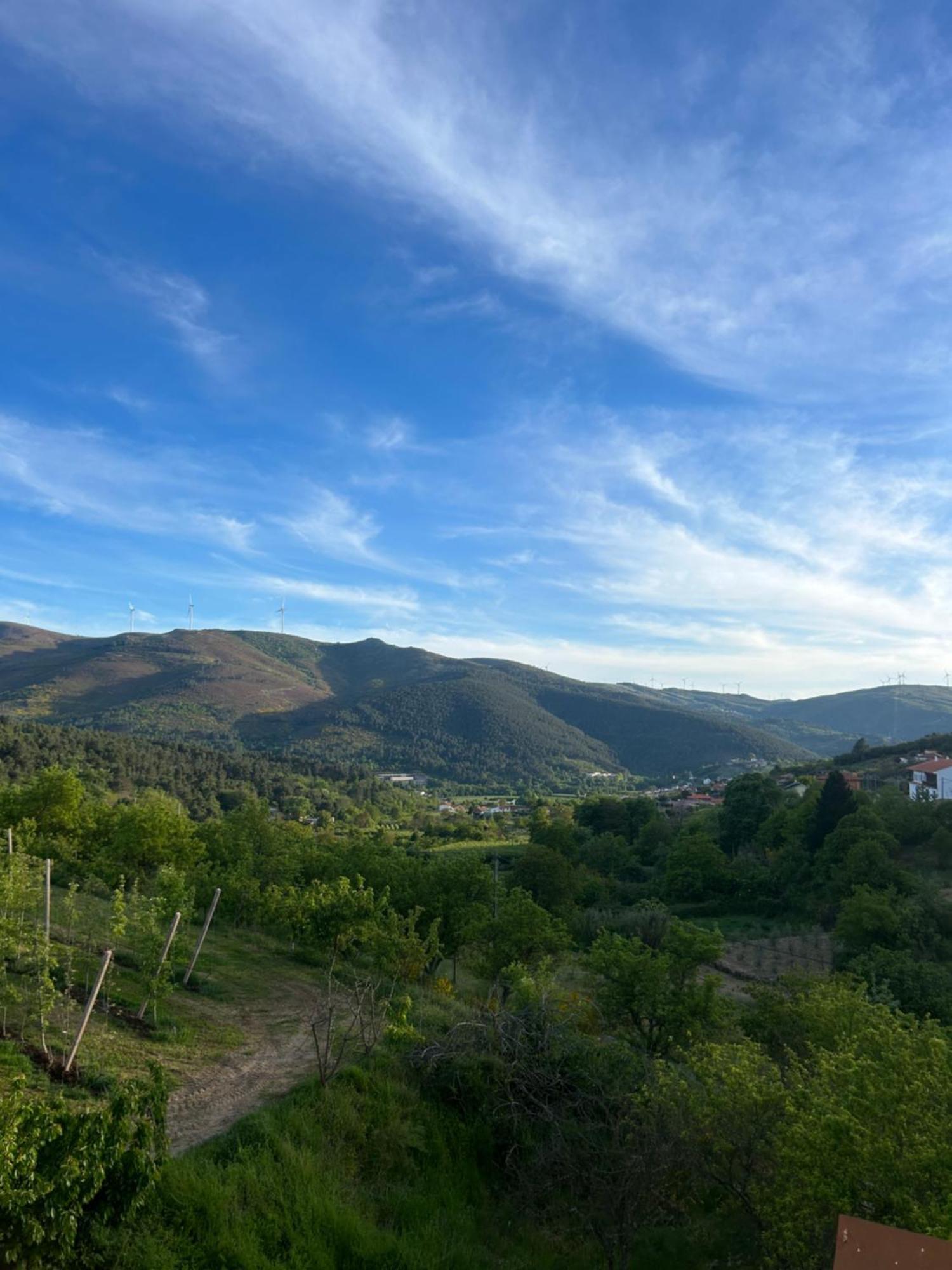 Casa Vicente Villa Lamego Exteriör bild