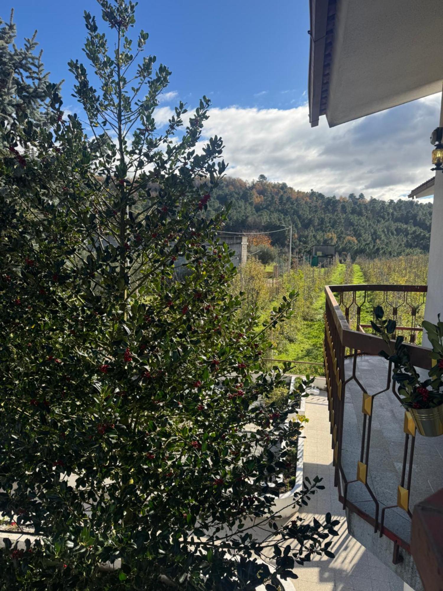 Casa Vicente Villa Lamego Exteriör bild